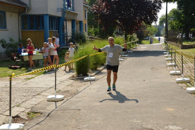 Falunap 2017